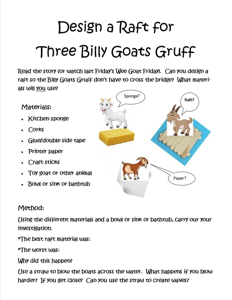 Goat raft project Comfort Public Library